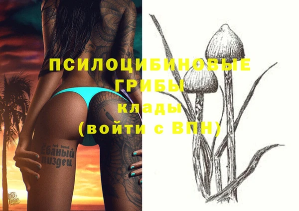 эйфоретик Алзамай