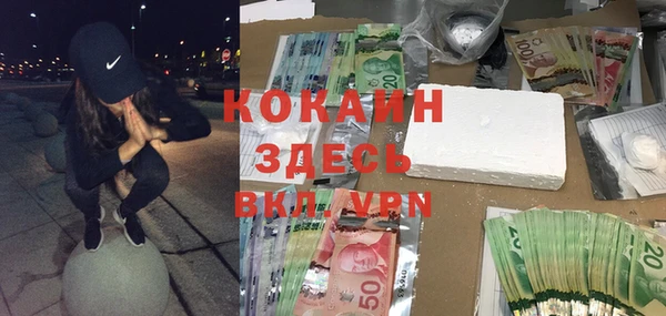 стаф Покачи