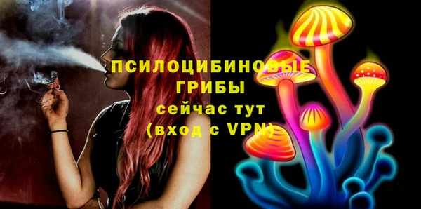 эйфоретик Алзамай