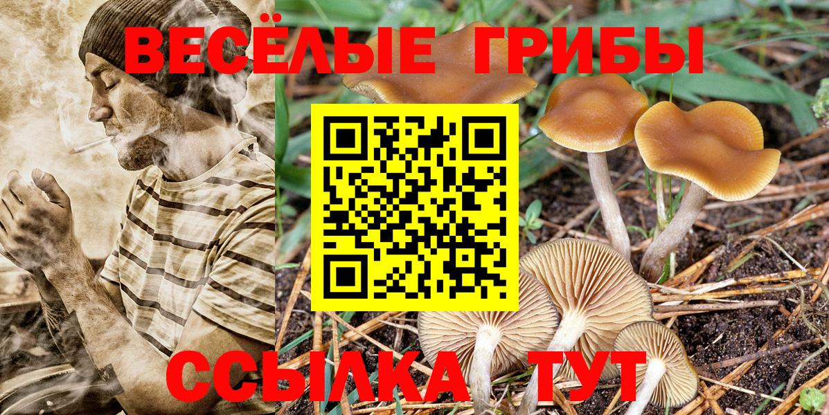Богородицк  Псилоцибиновые грибы Psilocybine cubensis  Псилоцибиновые грибы Psilocybe  Вход с VPN 