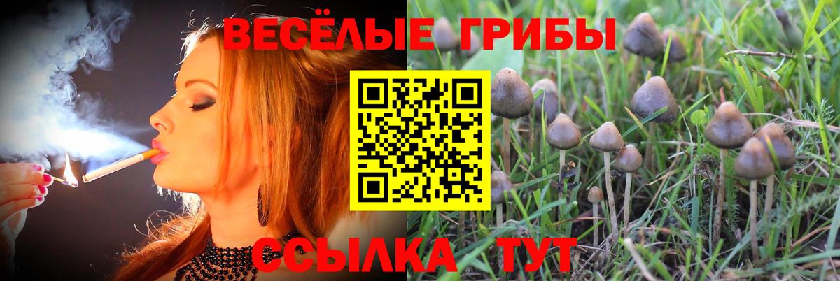 Галлюциногенные грибы ЛСД Богородицк